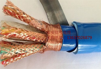 計算機(jī)電纜IA-DJYJPVP22-6*2*1.0